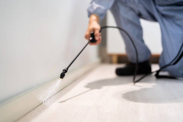 Licensed Termite Control service in Omaha, NE - Show Me Pest Control